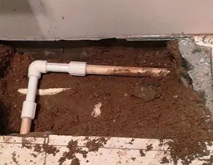 惠来测漏水哪家好