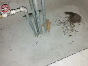 惠来卫生间测漏水价格明细